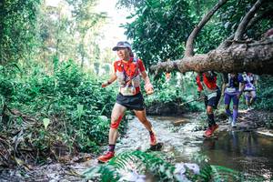 BIB: 
                            <button type="button" onclick="openModal(25436602)" class="btn btn-primary btn-sm float-right btn-popup" data-toggle="modal" data-target=".modal-high-quality">
                        <i class="fas fa-shopping-cart"></i> Add to Cart
                    </button>
                                            <button type="button" onclick="isThisMe(25436602, true)" class="btn btn-success btn-sm float-right btn-popup btn-isme hidden" data-toggle="tooltip" data-placement="bottom" title="นี่คือรูปของคุณใช่ไหม คลิกที่นี่เพื่อเอาเข้าอัลบั้ม">
                        <i class="fas fa-plus"></i> Add to album
                    </button>
                    <button type="button" onclick="isThisMe(25436602, false)" class="btn btn-warning btn-sm float-right btn-popup btn-isnotme hidden">
                        <i class="fas fa-ban"></i> Remove from album
                    </button>